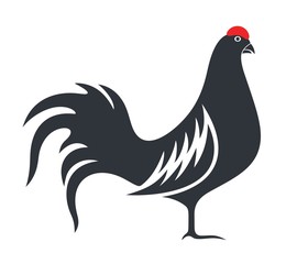Grouse