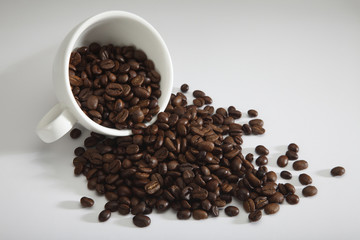 coffee bean
