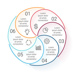Circle line stroke infographic. Template for cycle diagram
