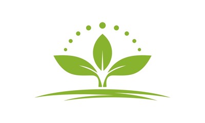 Leaf Vector Logo Design Template