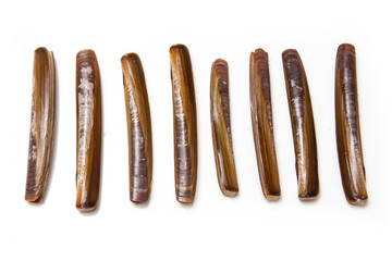 Razor Clams