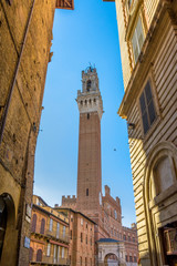 Obraz premium Piazza Campo square and Mangia Tower, Siena, Italy