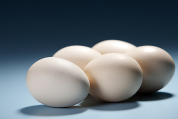 eggs