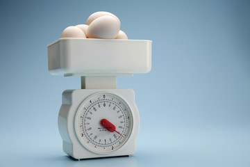 egg