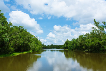 Obraz na płótnie Canvas canal green tree and blue sky white cloud