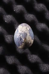 Obraz na płótnie Canvas Quail egg