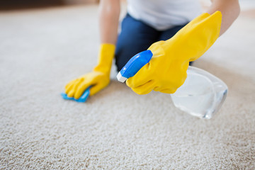 close up of woman with cloth cleaning carpet