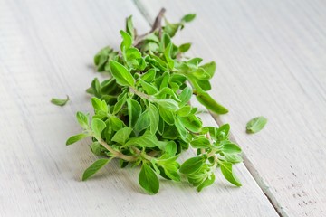 Green marjoram herb leaves on a wooden table