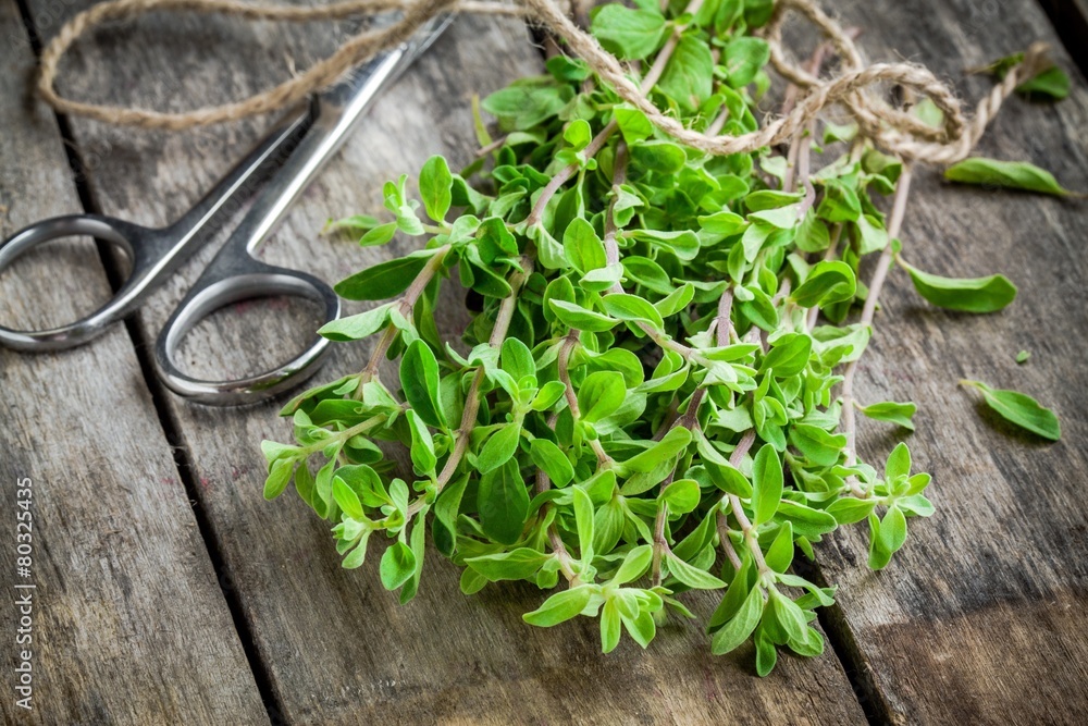 Wall mural bunch of raw green herb marjoram with scissors on a wooden table