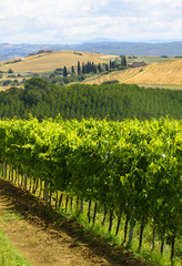 Crete Senesi (Tuscany, Italy)