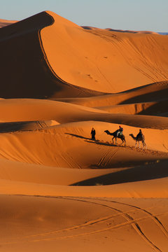 balade en dromadaire dans le d&eacute;sert de Merzouga