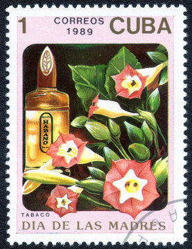 CUBA - CIRCA 1989: