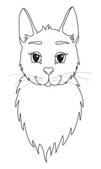 Sketch cartoon cat