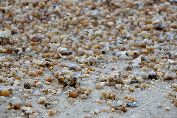 Small rocks by seaside