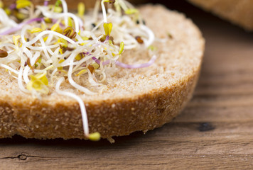 Mixed sprouts and bread on wooden table