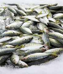 Fototapeta premium Fish market