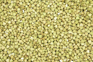 Buckwheat seeds