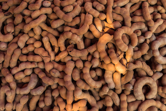 tamarind