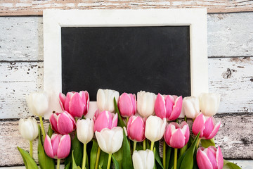 Tafel blank Tulpen