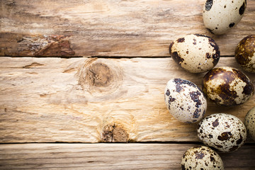 Quail eggs. Easter greeting card.