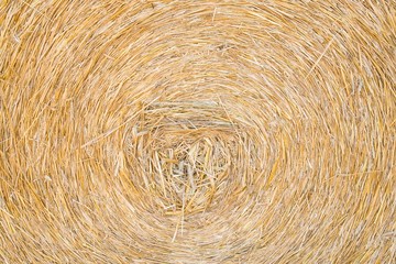 Straw bale background