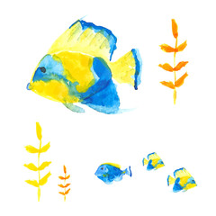 Seawater fishes