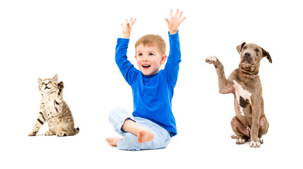 Happy boy, kitten and puppy