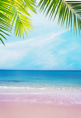 pink shore under palm branches on a clear day