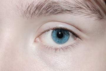 Obraz premium Niebieski detal