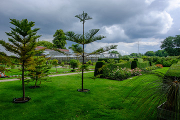 Obraz premium Schaugarten am Tiefwarensee in Waren, Müritz, Mecklenburg-Vorpo