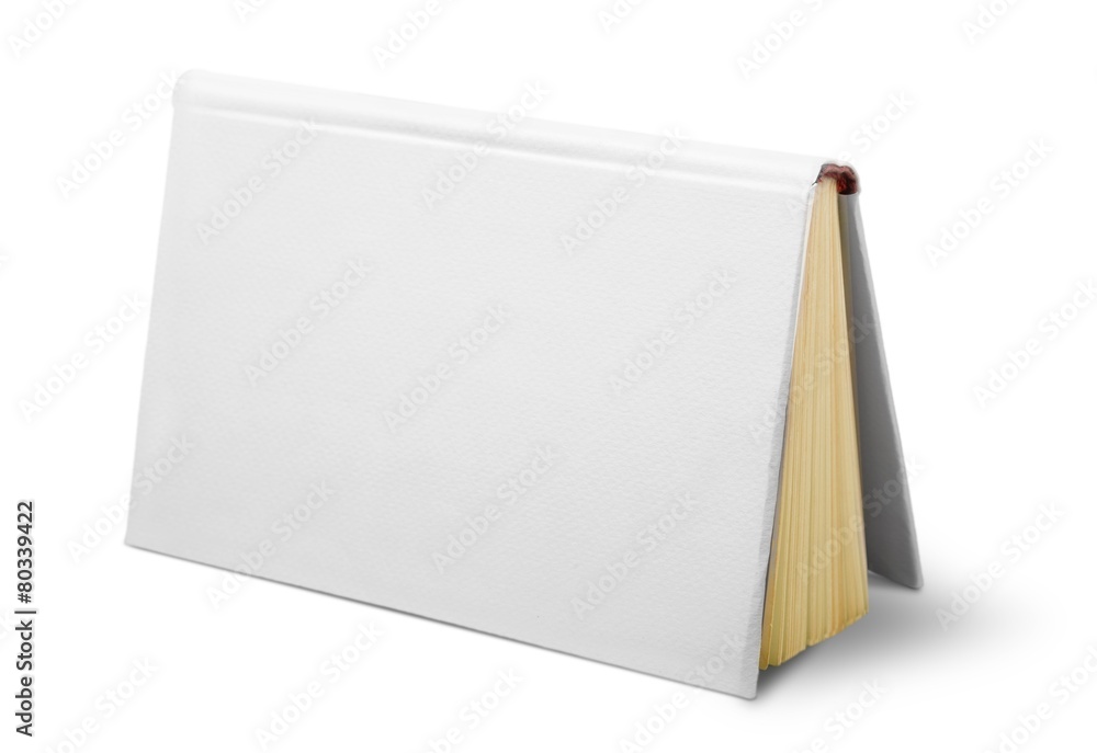 Poster Advertise. collection of various  blank white  books on white