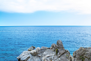 The rocky coastline. Rock in the sea