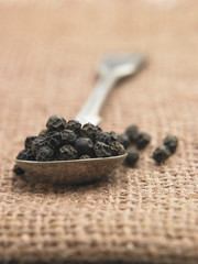 peppercorn
