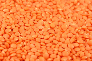 Close up of dried red lentil background