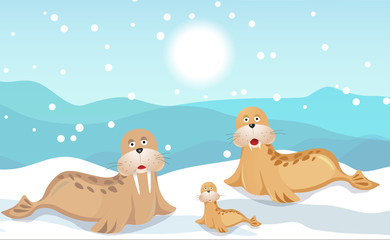 Walrus family