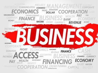 BUSINESS word cloud concept