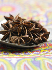 anise star