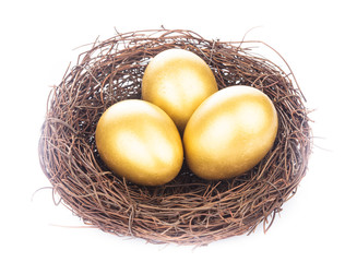 golden eggs in nest