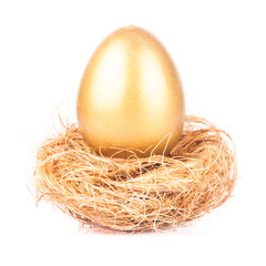 Naklejka na ściany i meble golden egg in nest