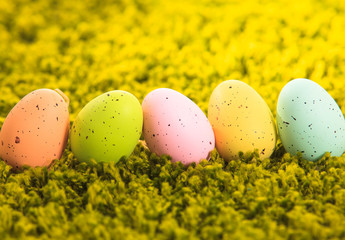Easter eggs on the grass