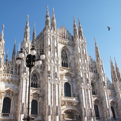 Fototapeta premium white Gothic cathedral in Milan