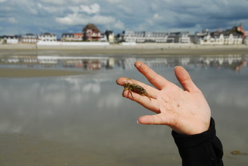 Baie de Somme, France