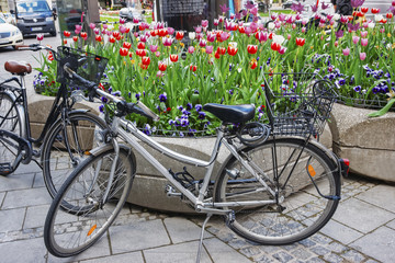 Fototapeta na wymiar Bicycles near street flowerbed