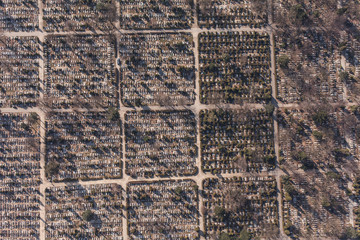 aerial view of  graveyard