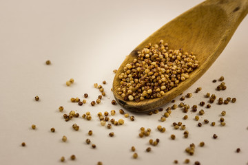 Quinoa on Wooden Spoon