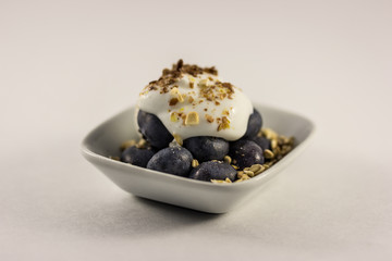 Blueberry and Yogurt Snack