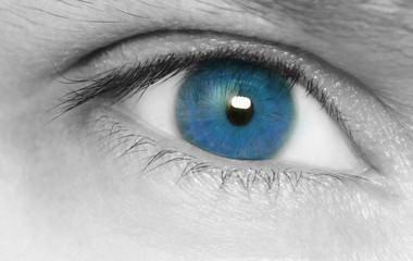 Blue eye macro shot