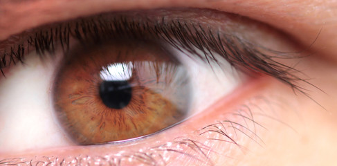 Macro image of a man's eye