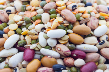 Legumes