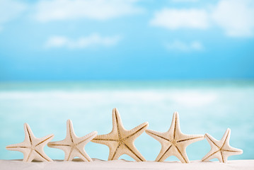 Fototapeta na wymiar white starfish with ocean, white sand beach, sky and seascape